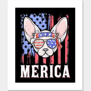 Merica Sphynx Cat American Flag Sunglasses Patriotic Posters and Art